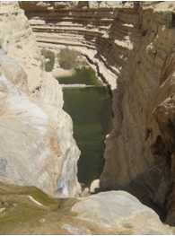 Ein Avdat: Water and History in the Desert